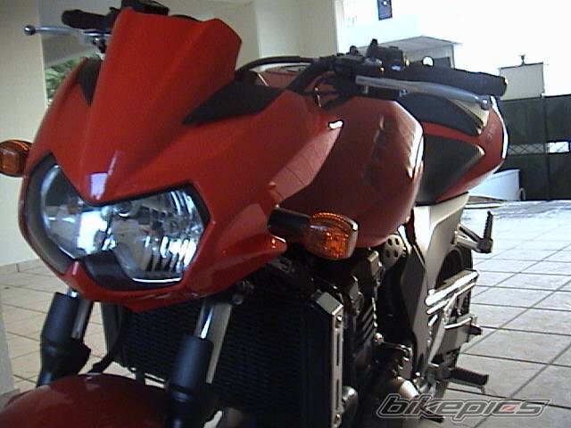 Photo 241480