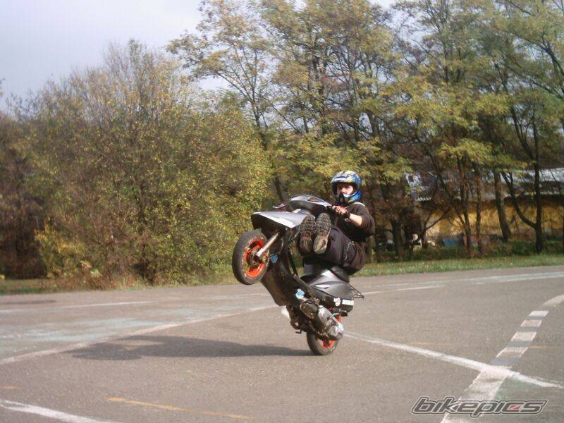 Photo 241503