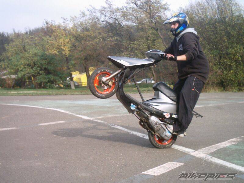 Photo 241513