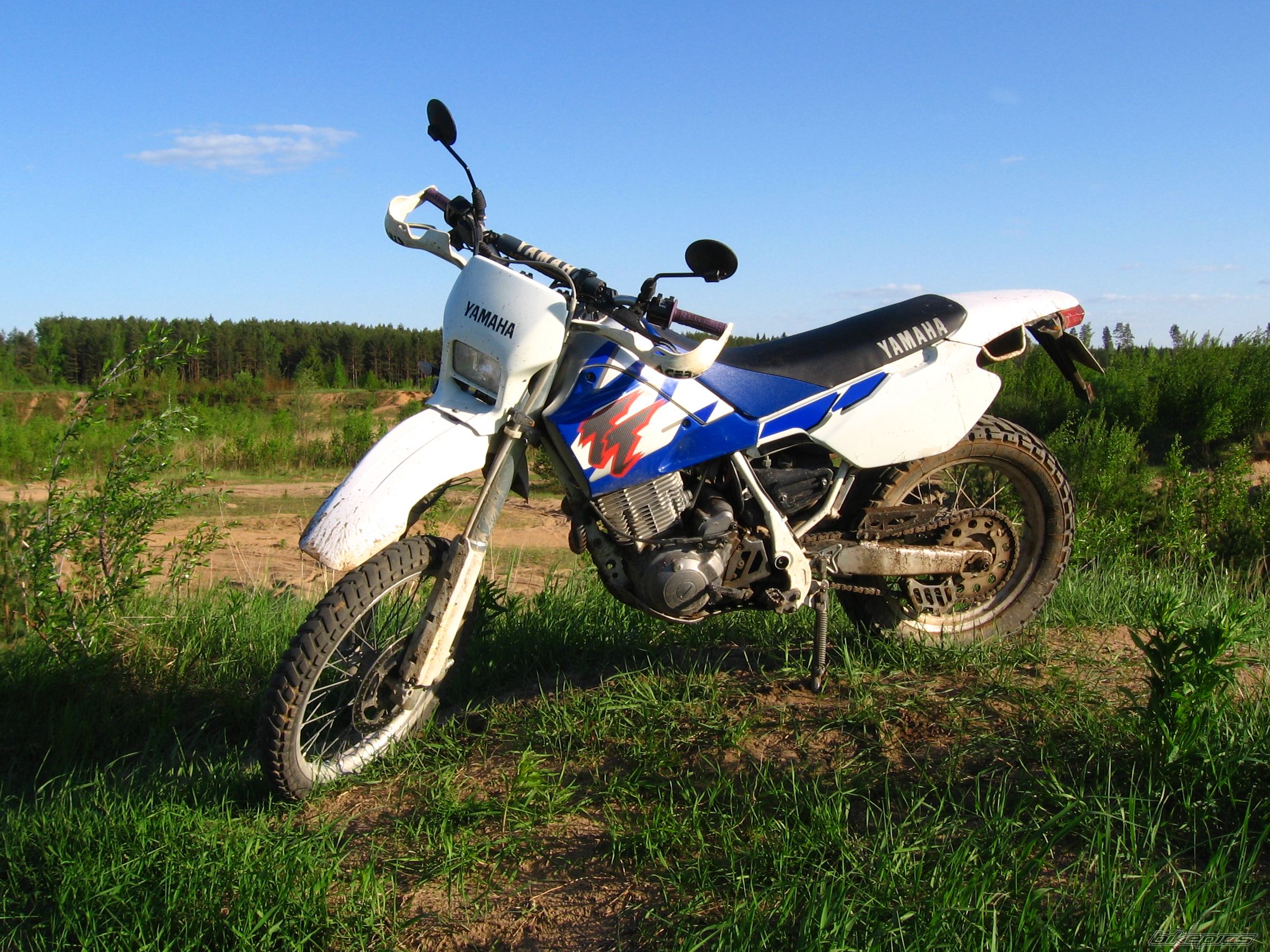 Photo 2415133