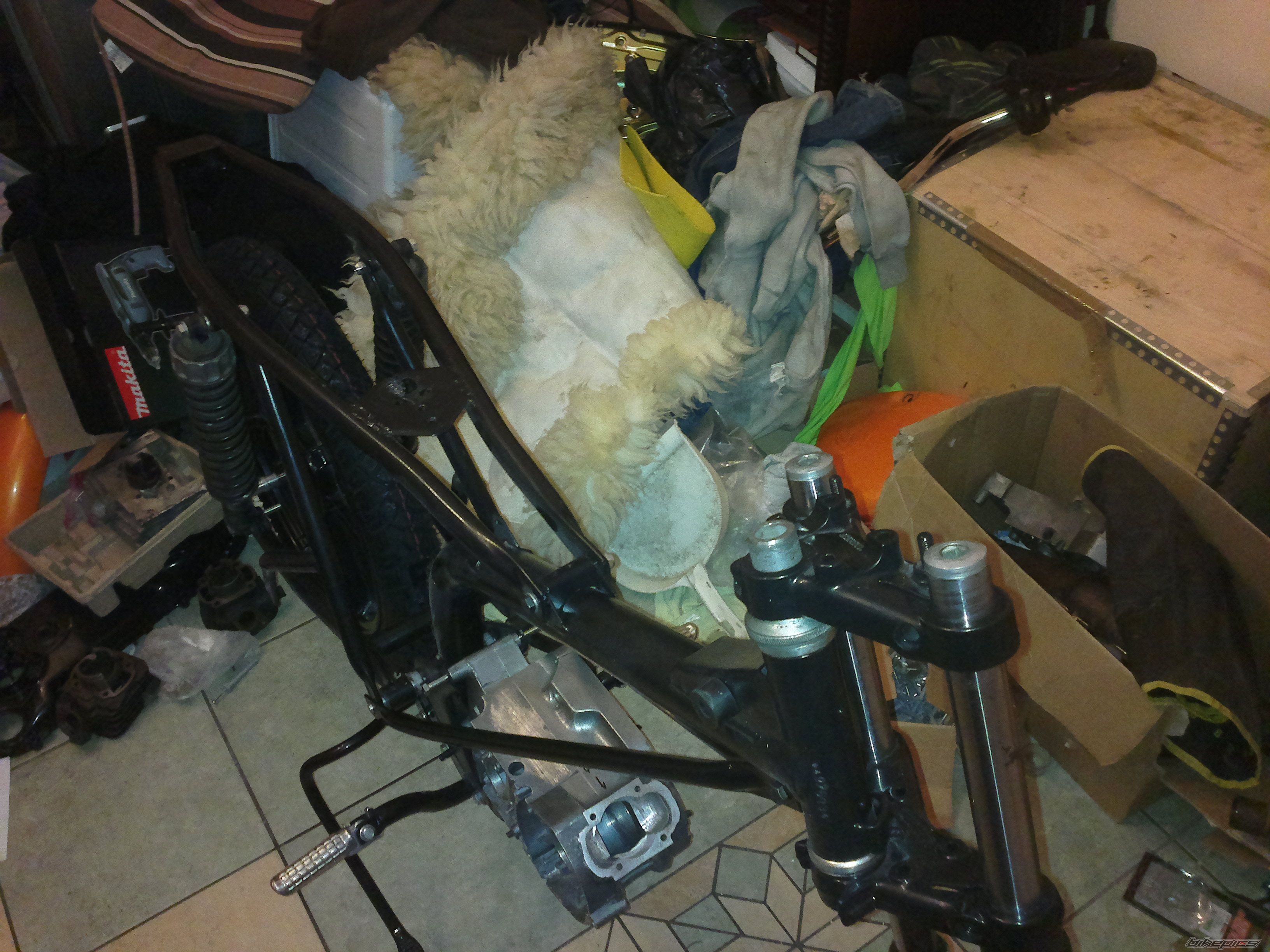 Photo 2415548