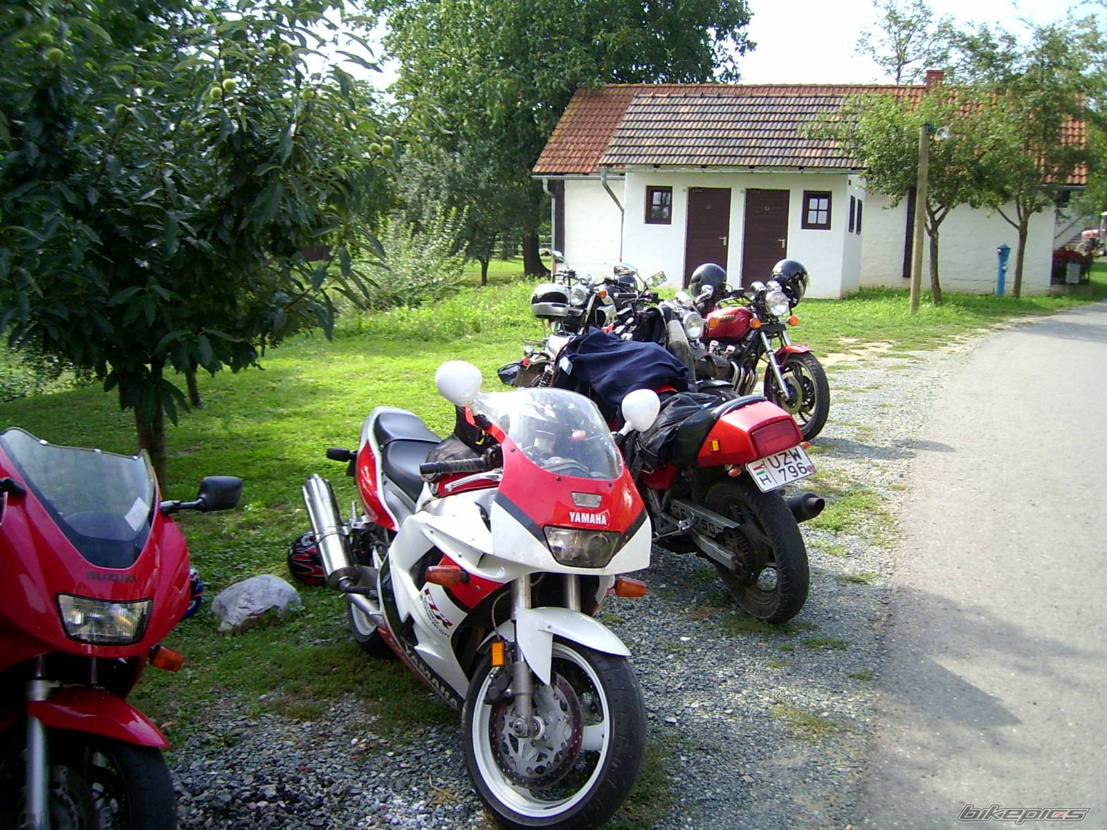 Photo 241585