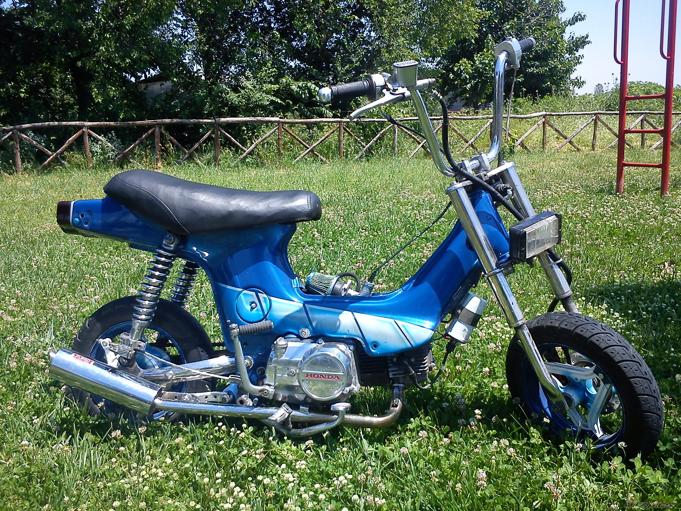 Photo 2415862