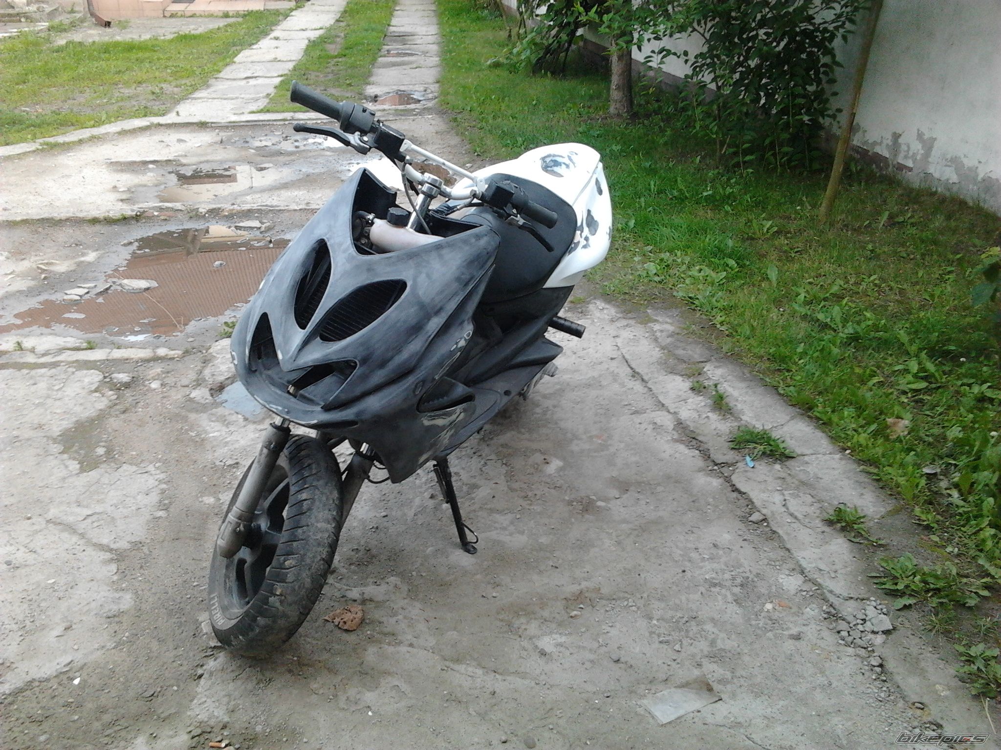 Photo 2415886