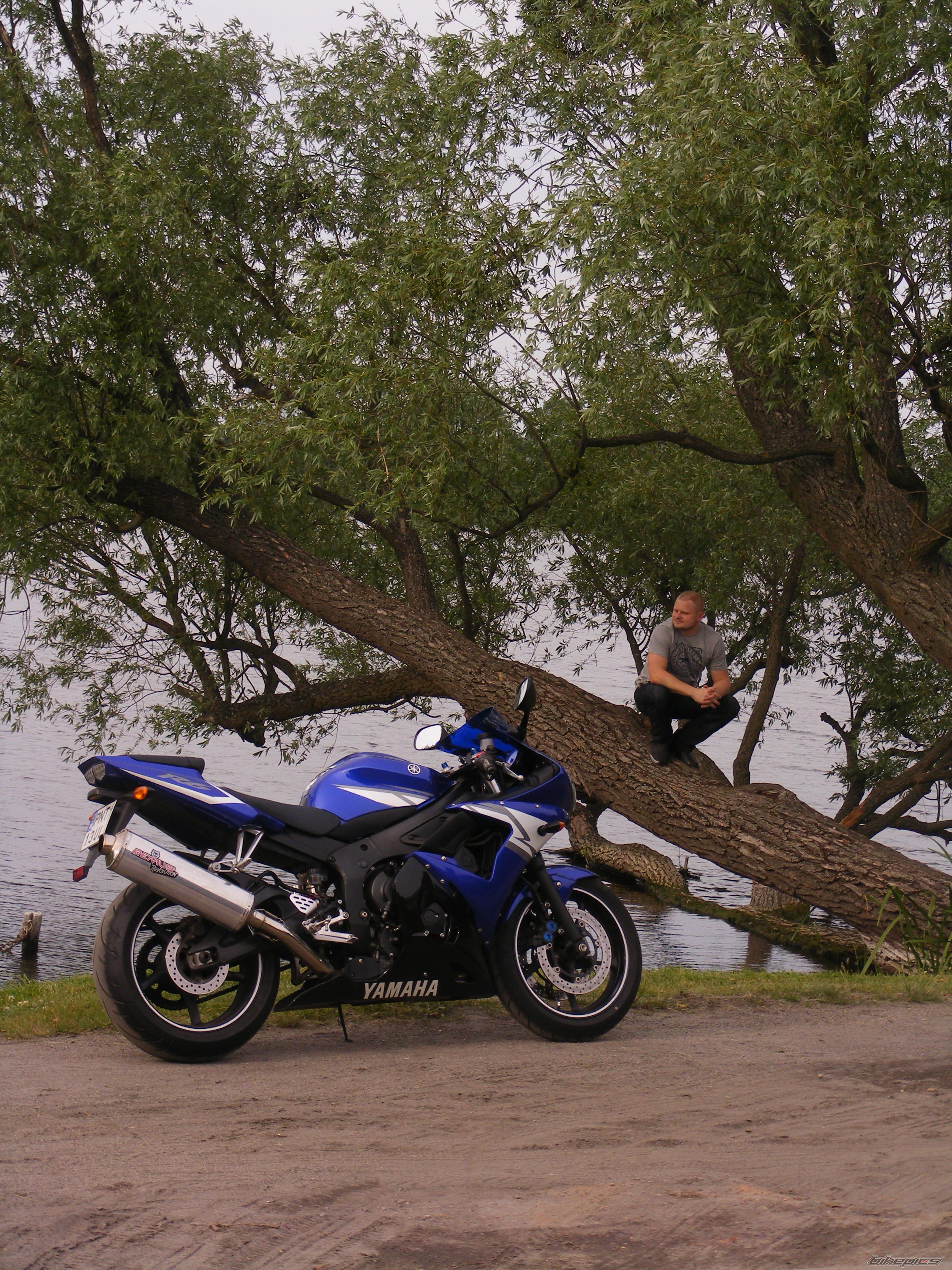 Photo 2415907