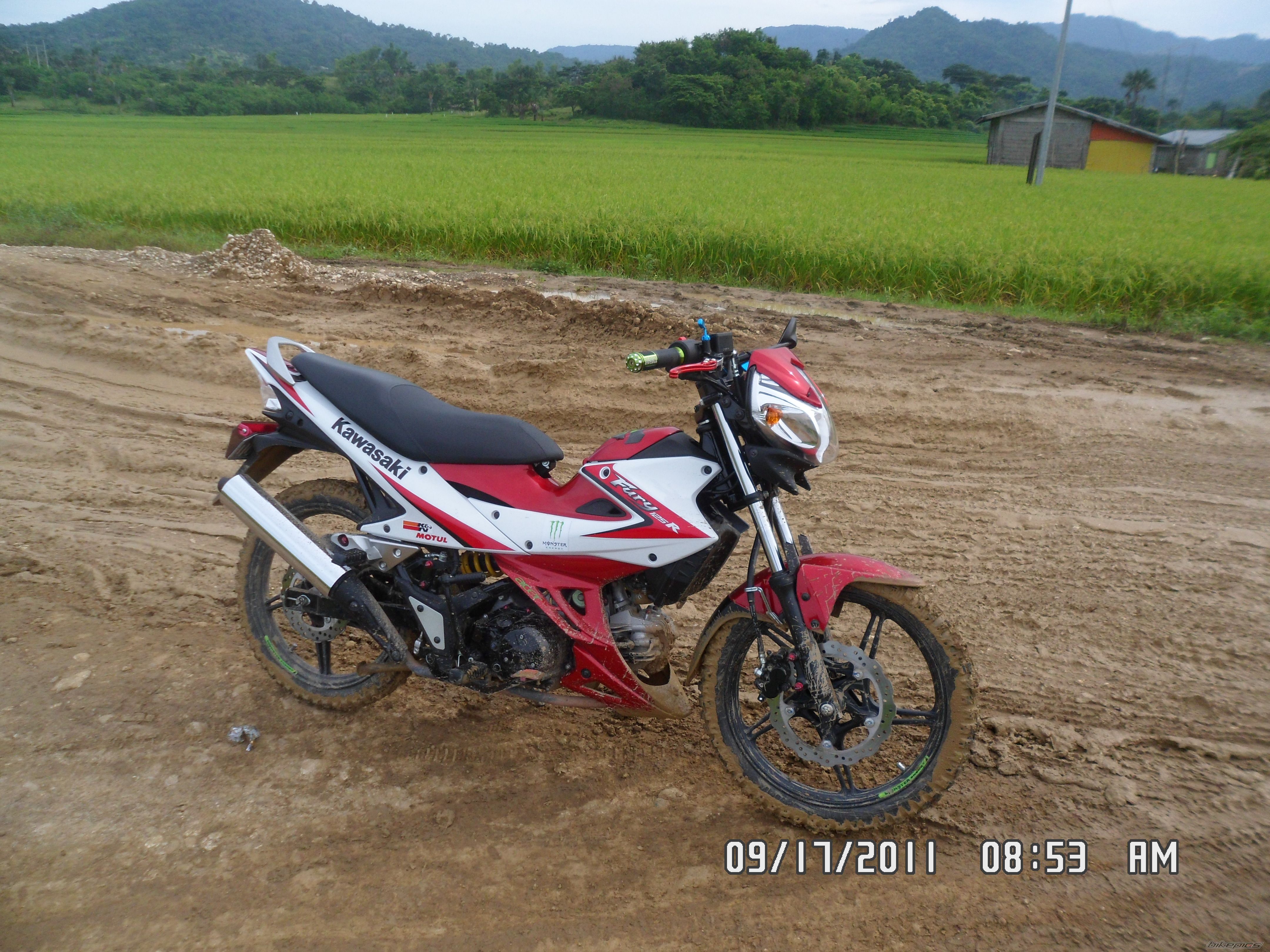 Photo 2416172