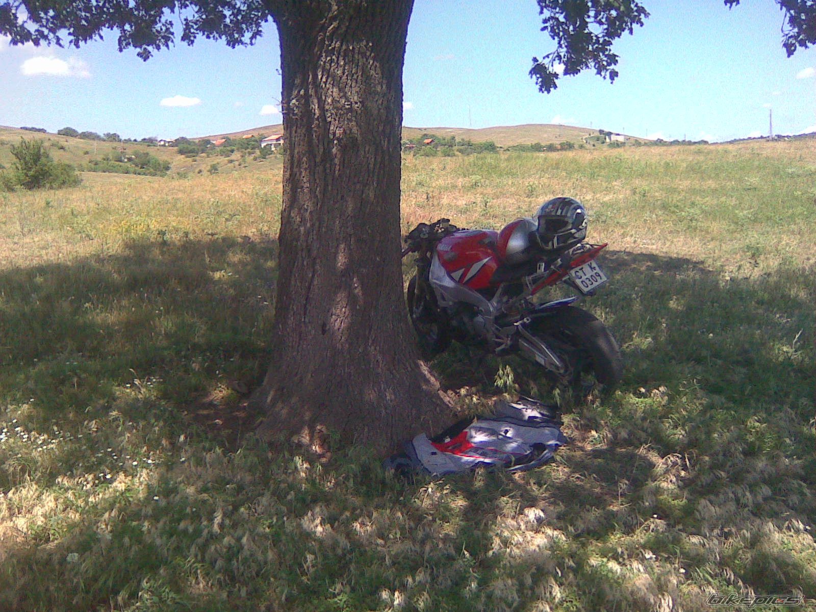 Photo 2416332