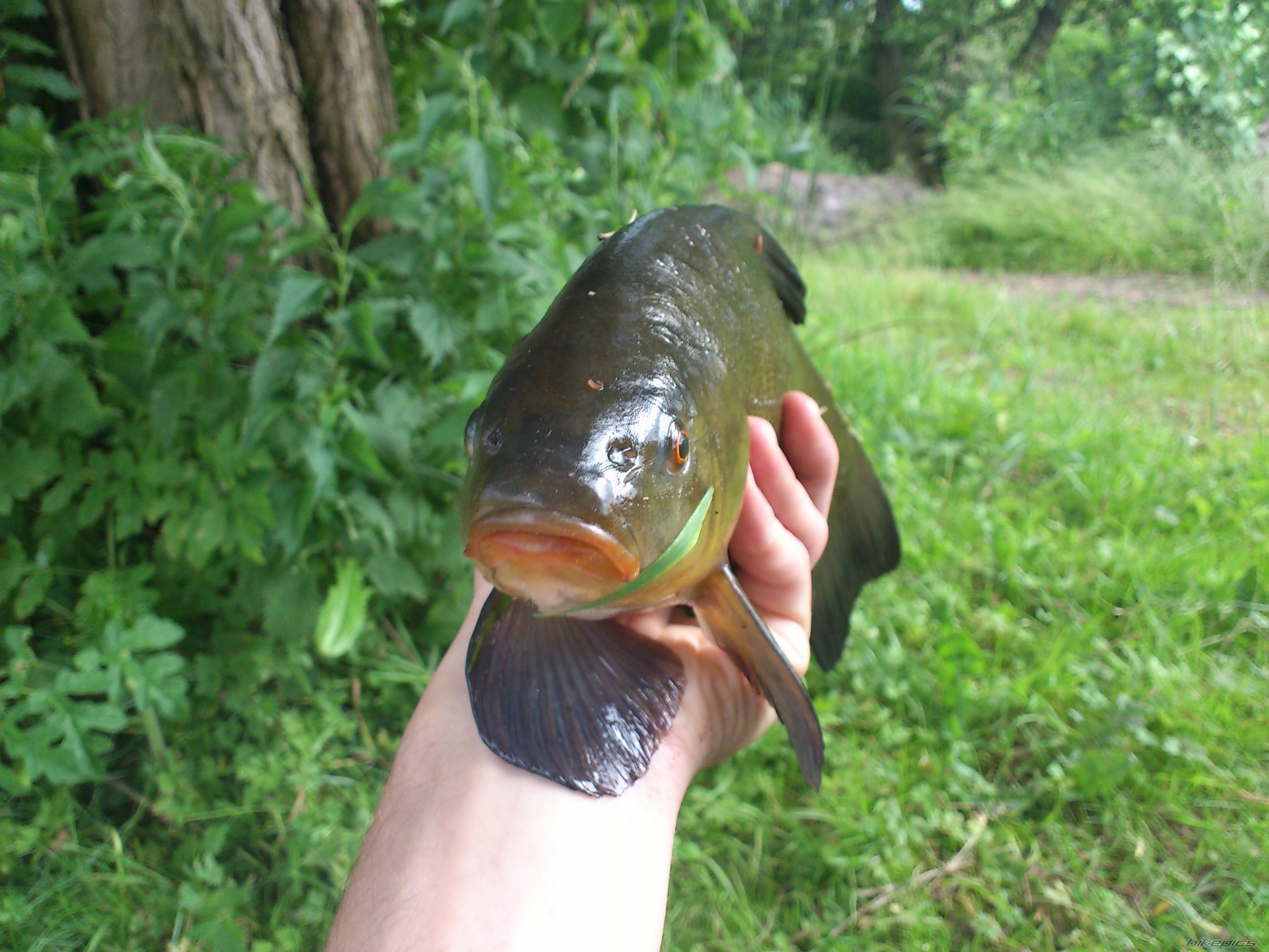 Photo 2416336