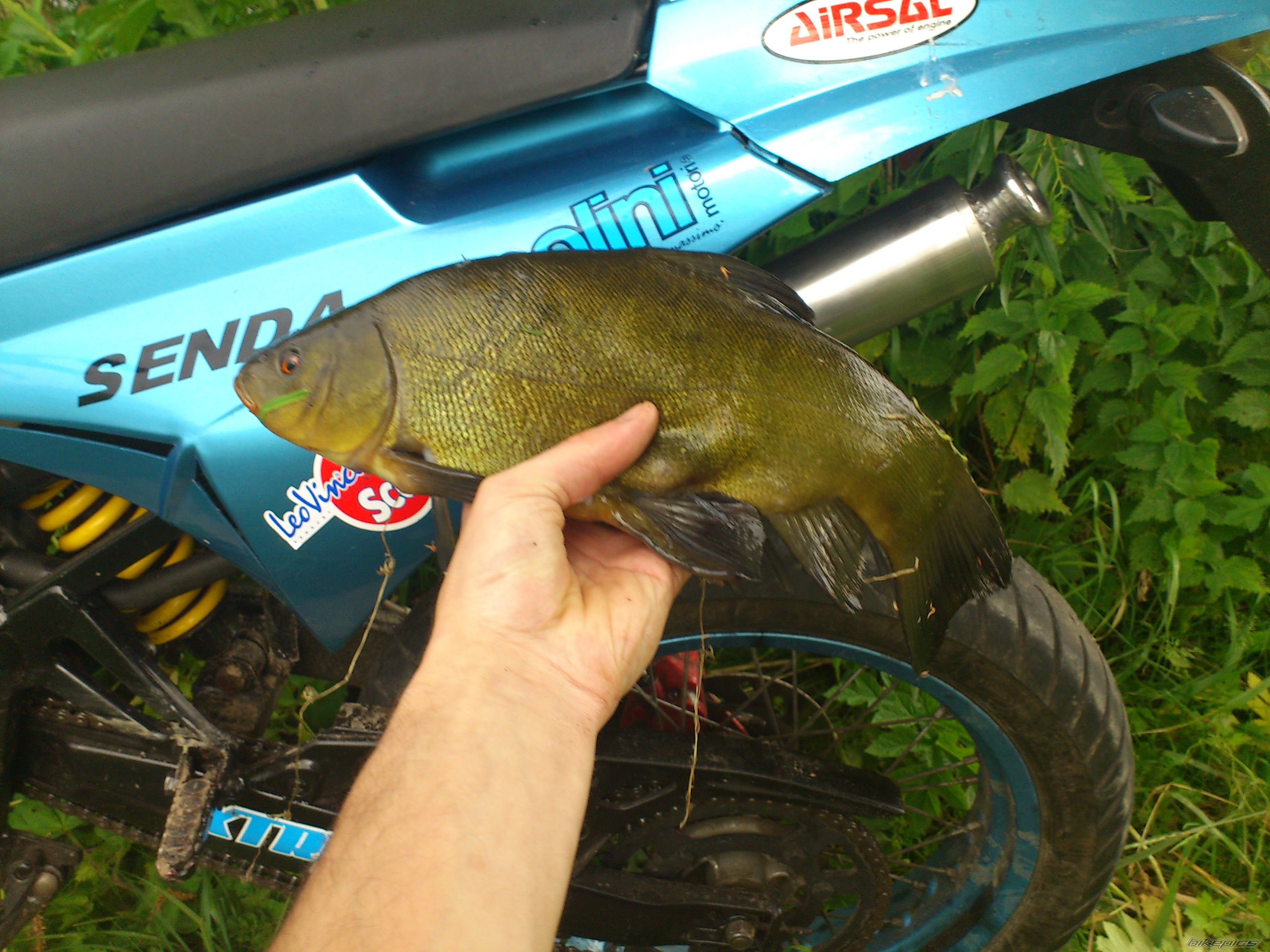 Bike Photo 2416338