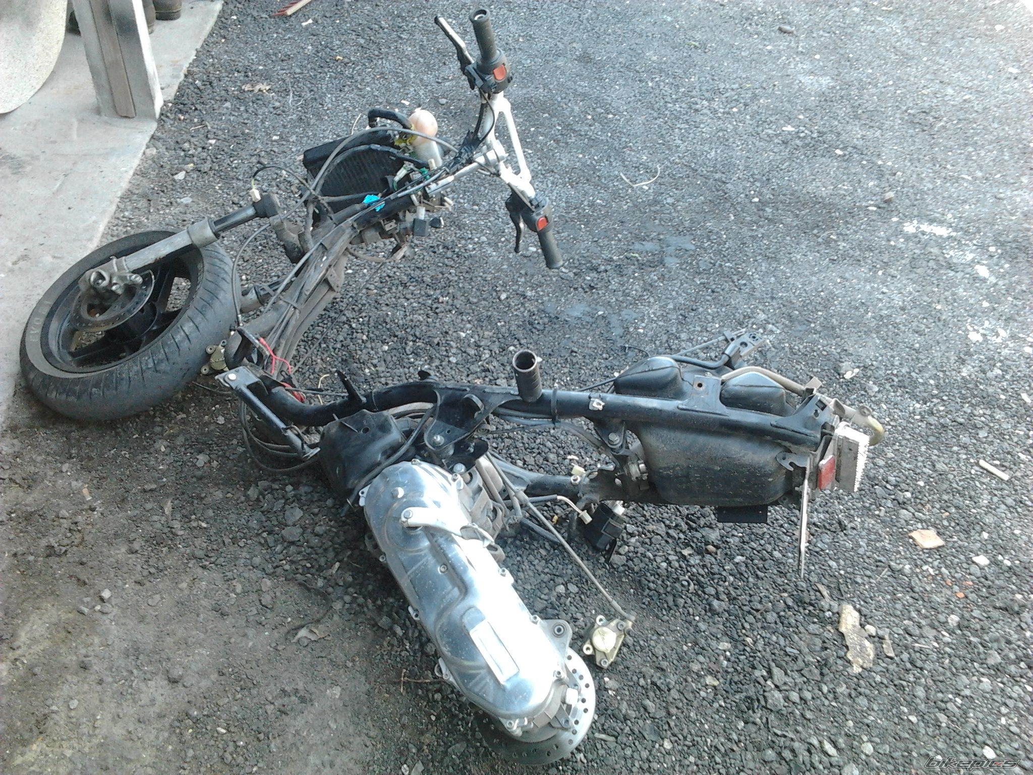 Photo 2416428
