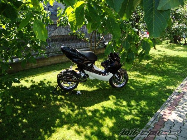 Photo 2416484
