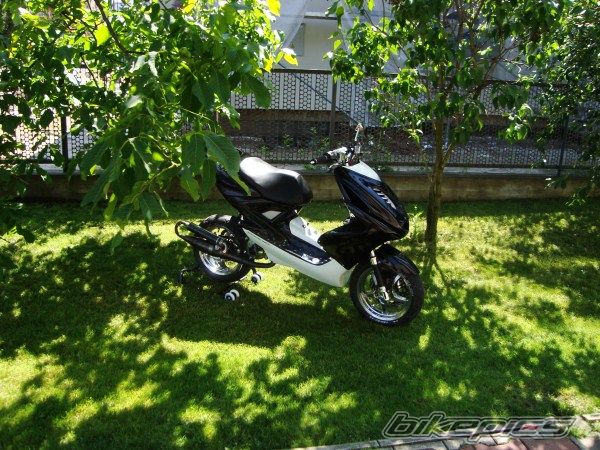 Photo 2416485