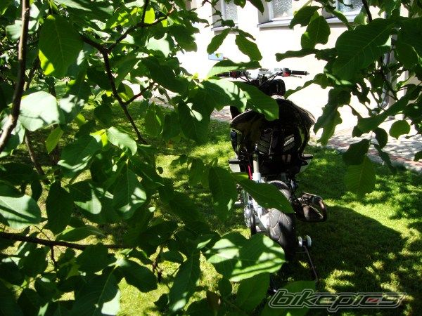 Photo 2416498