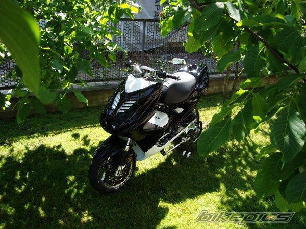 Photo 2416510