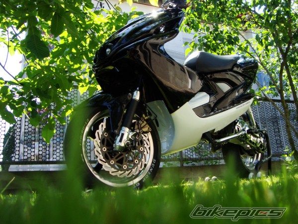 Photo 2416514