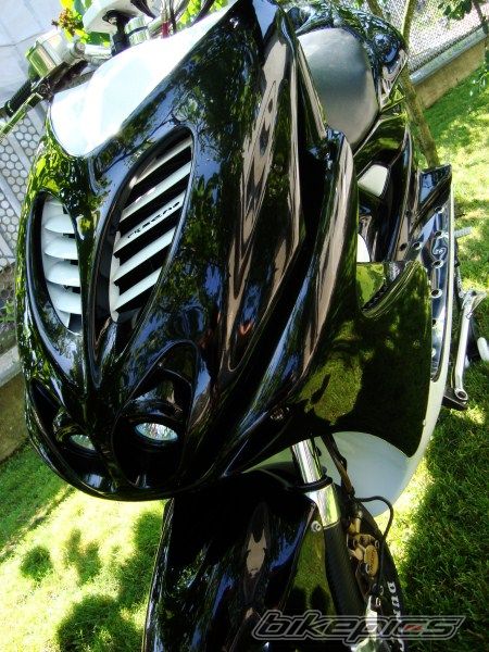 Photo 2416515