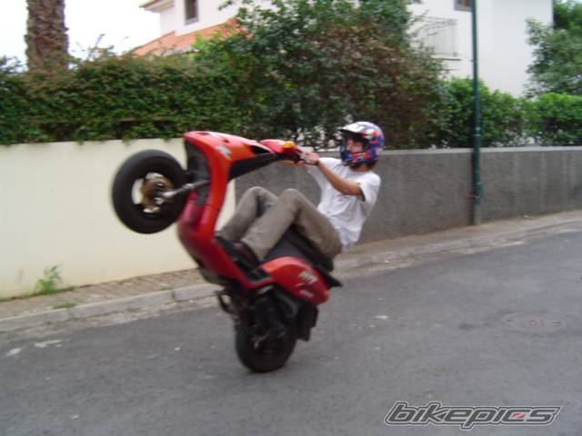 Photo 241679