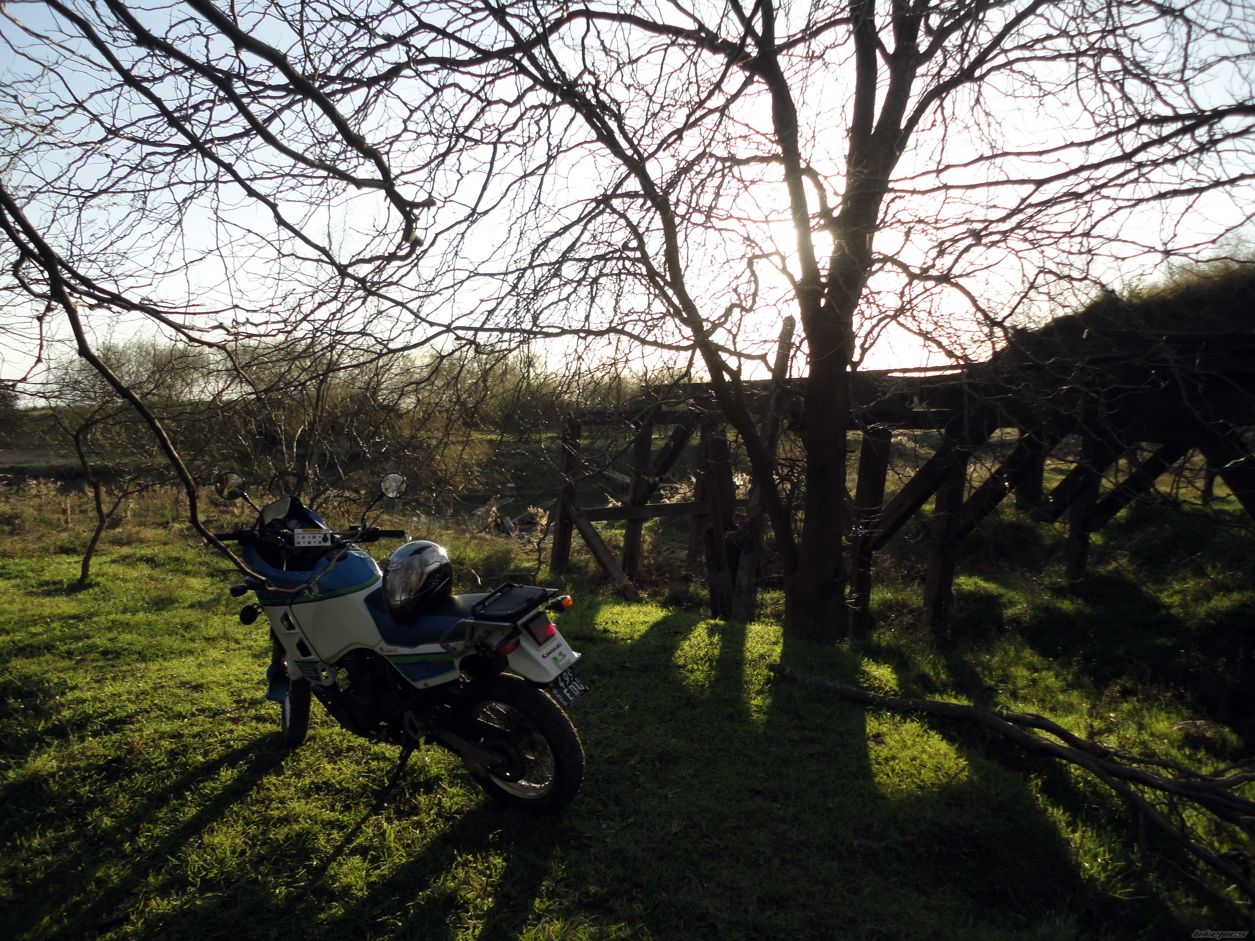 Photo 2416854