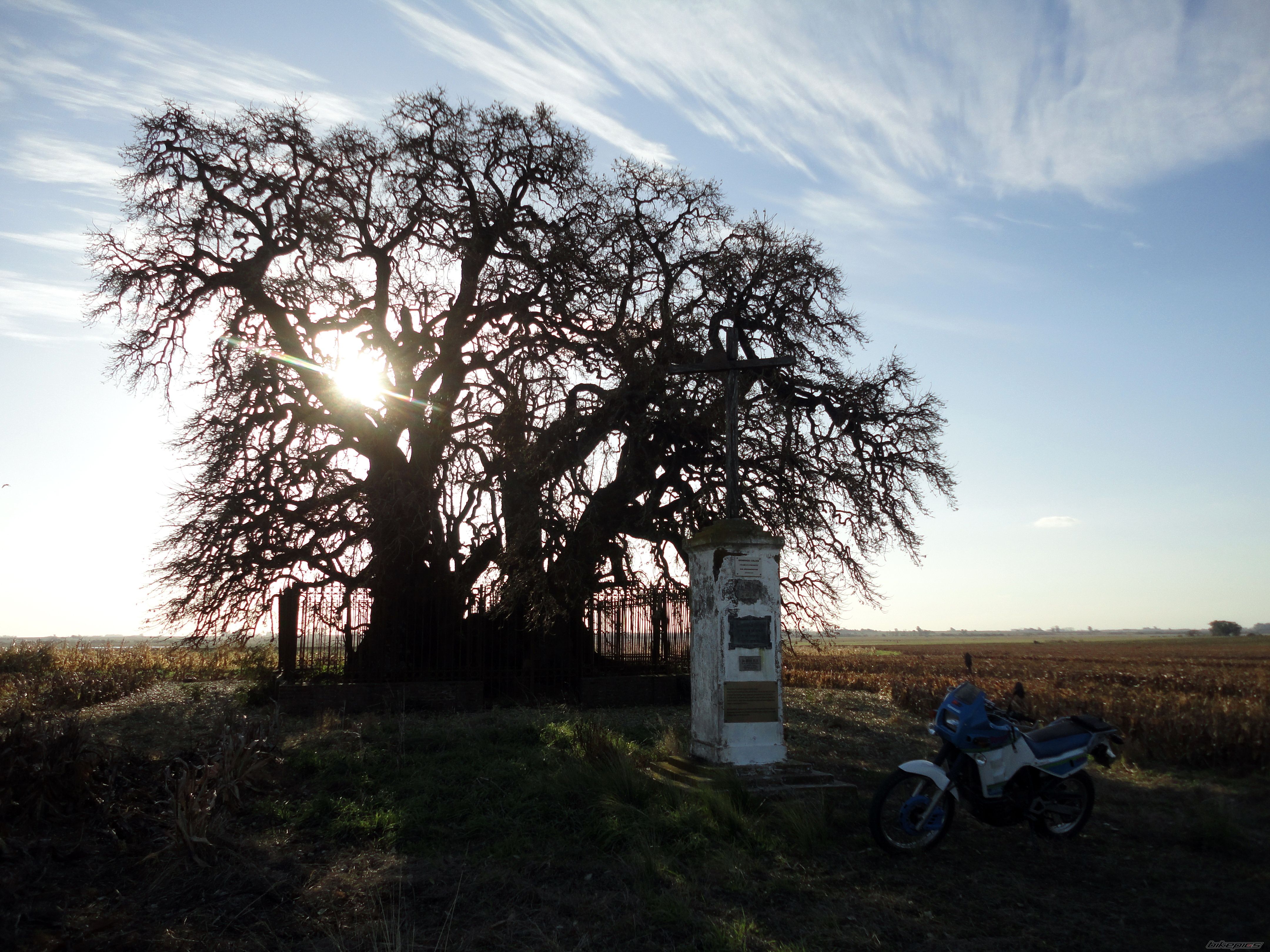 Photo 2416878