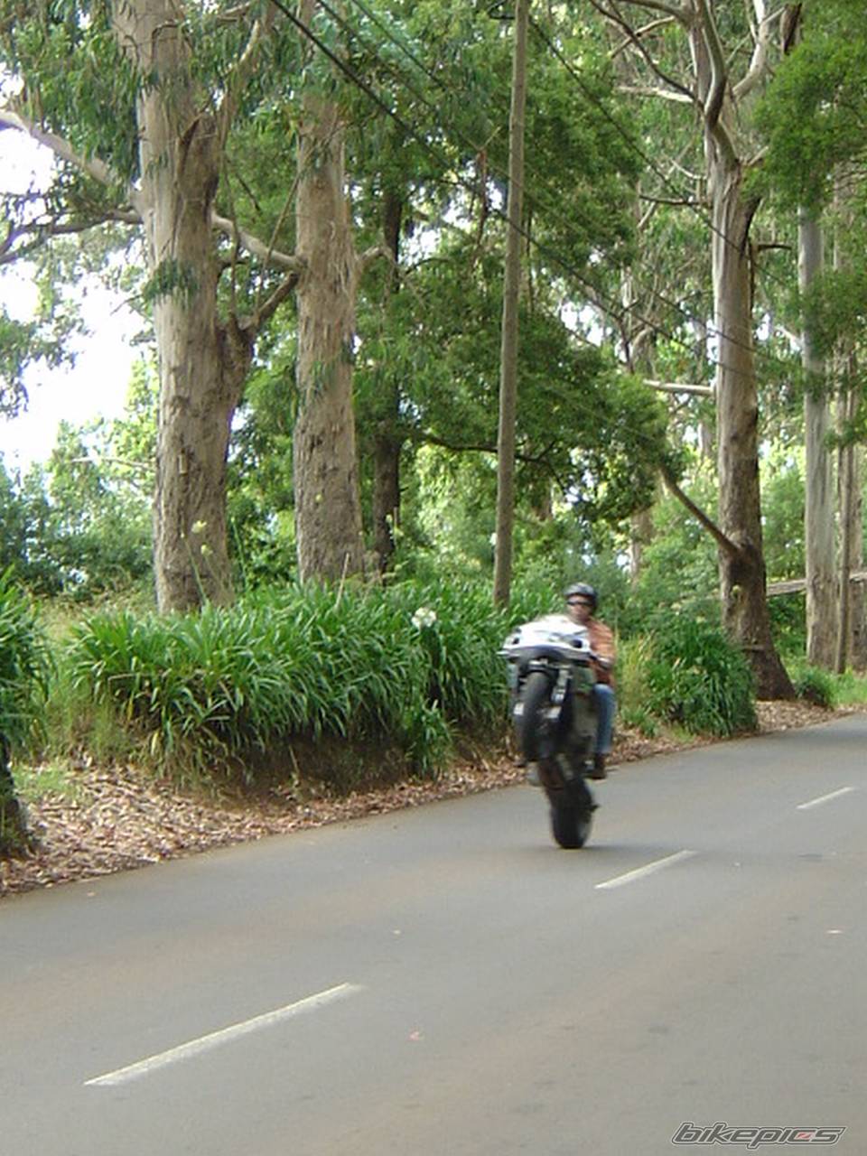 Bike Photo 241698
