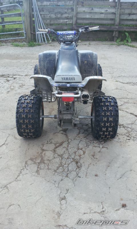 Photo 2417005