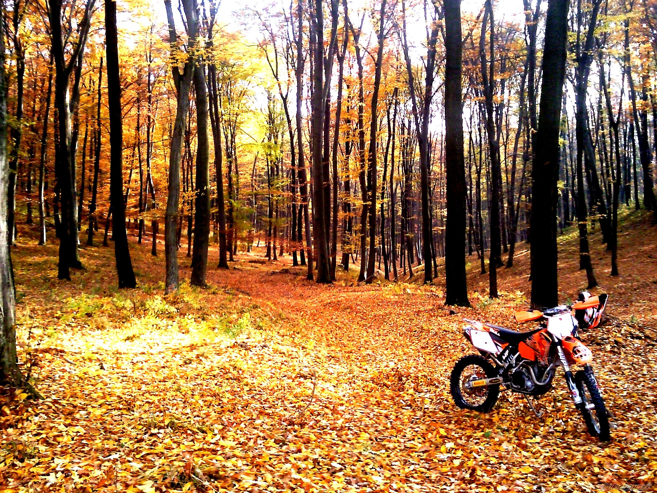 Bike Photo 2417104