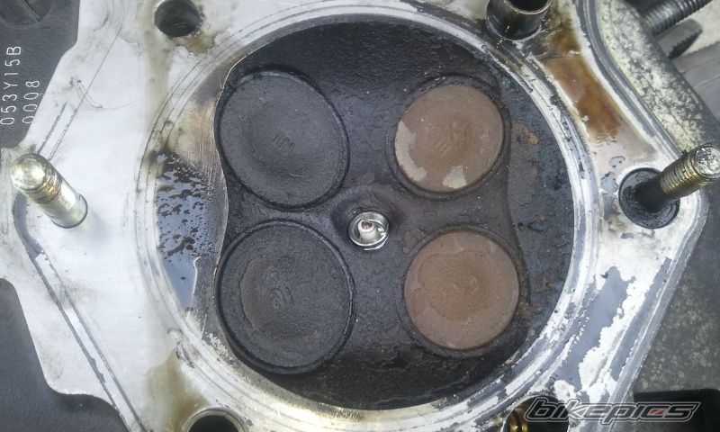 Photo 2417150