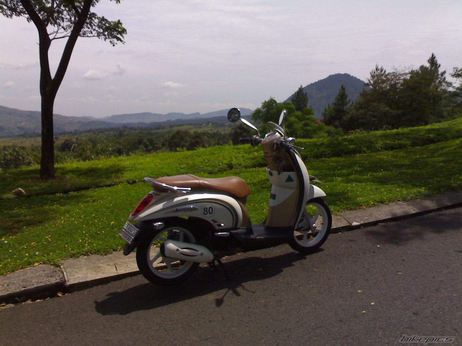 Photo 2417164