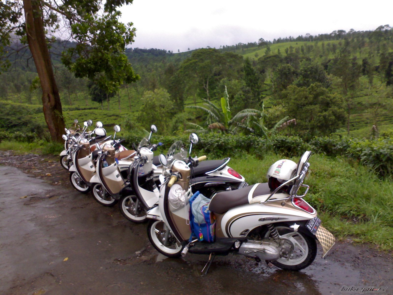 Bike Photo 2417179