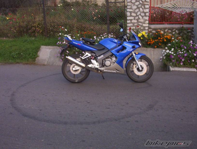 Photo 241731