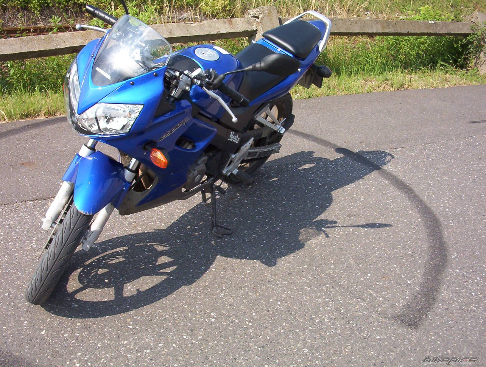 Photo 241739
