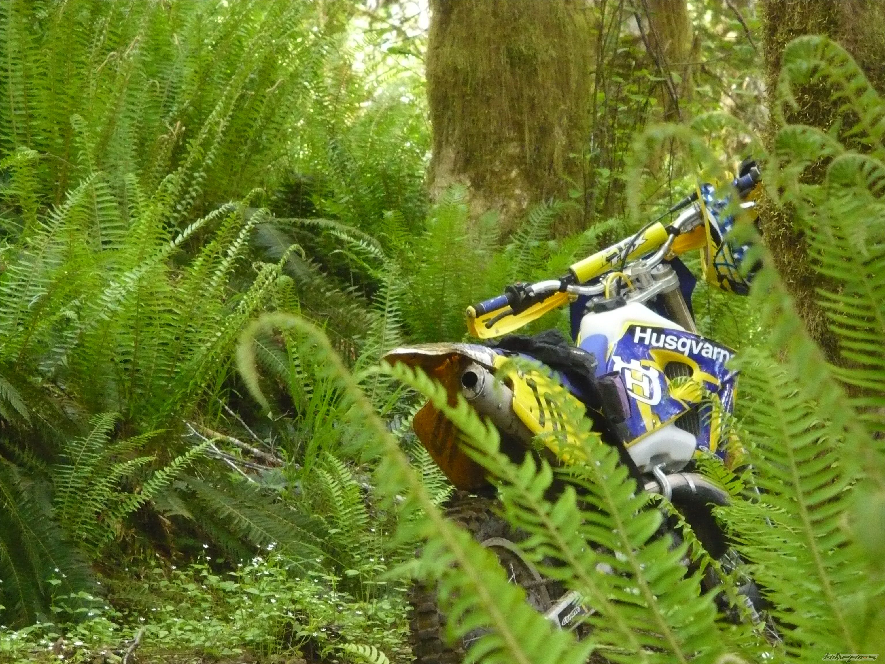 Bike Photo 2417395