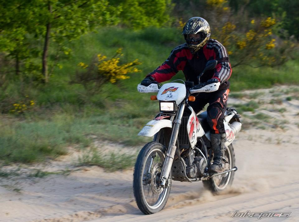 Photo 2417445