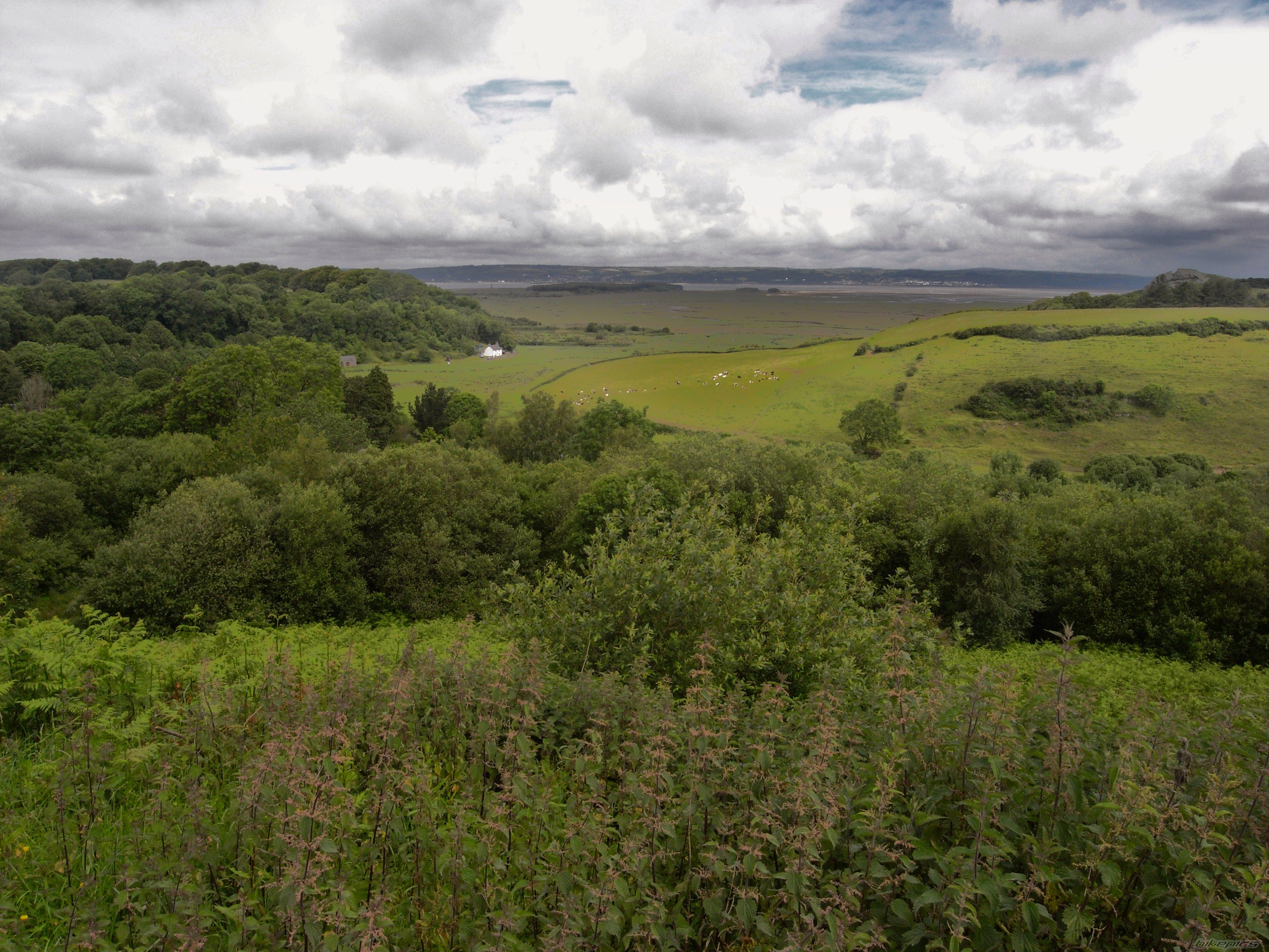 Photo 2417499