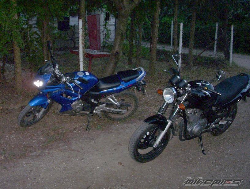 Photo 241751