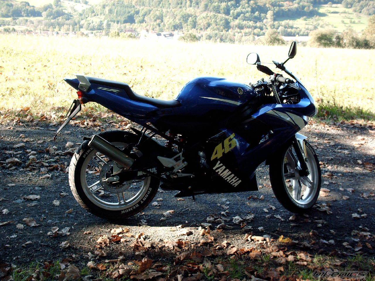 Photo 241759