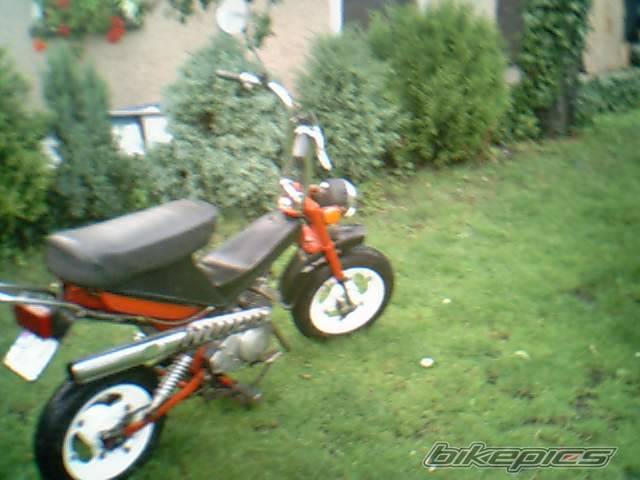 Photo 241763