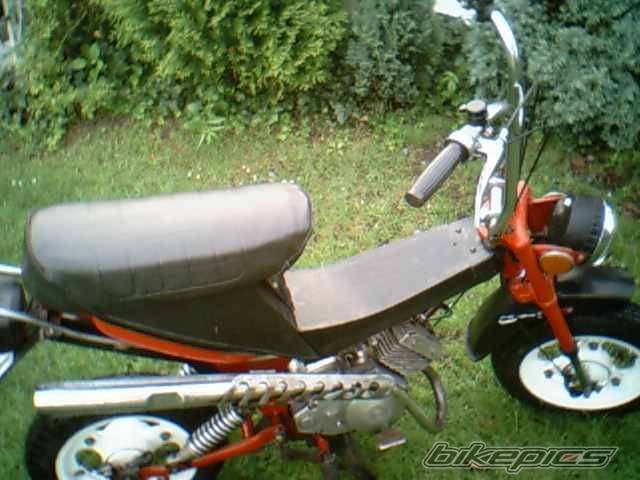 Photo 241764