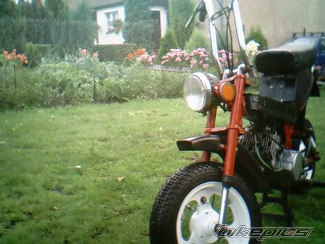 Photo 241766