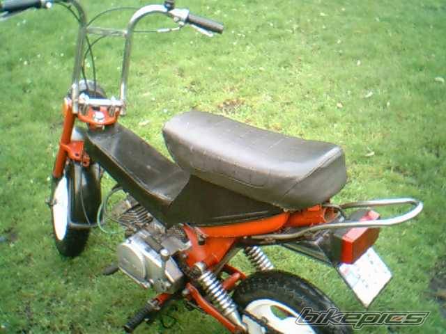 Photo 241767