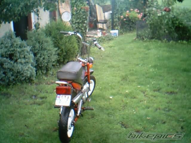 Photo 241768