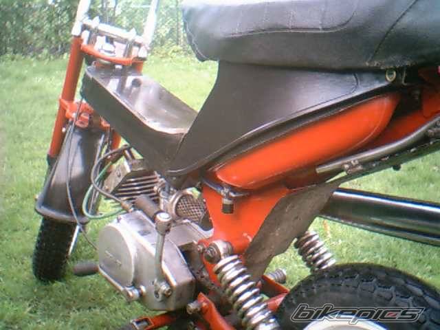 Photo 241770
