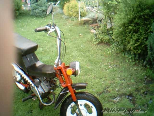 Photo 241771