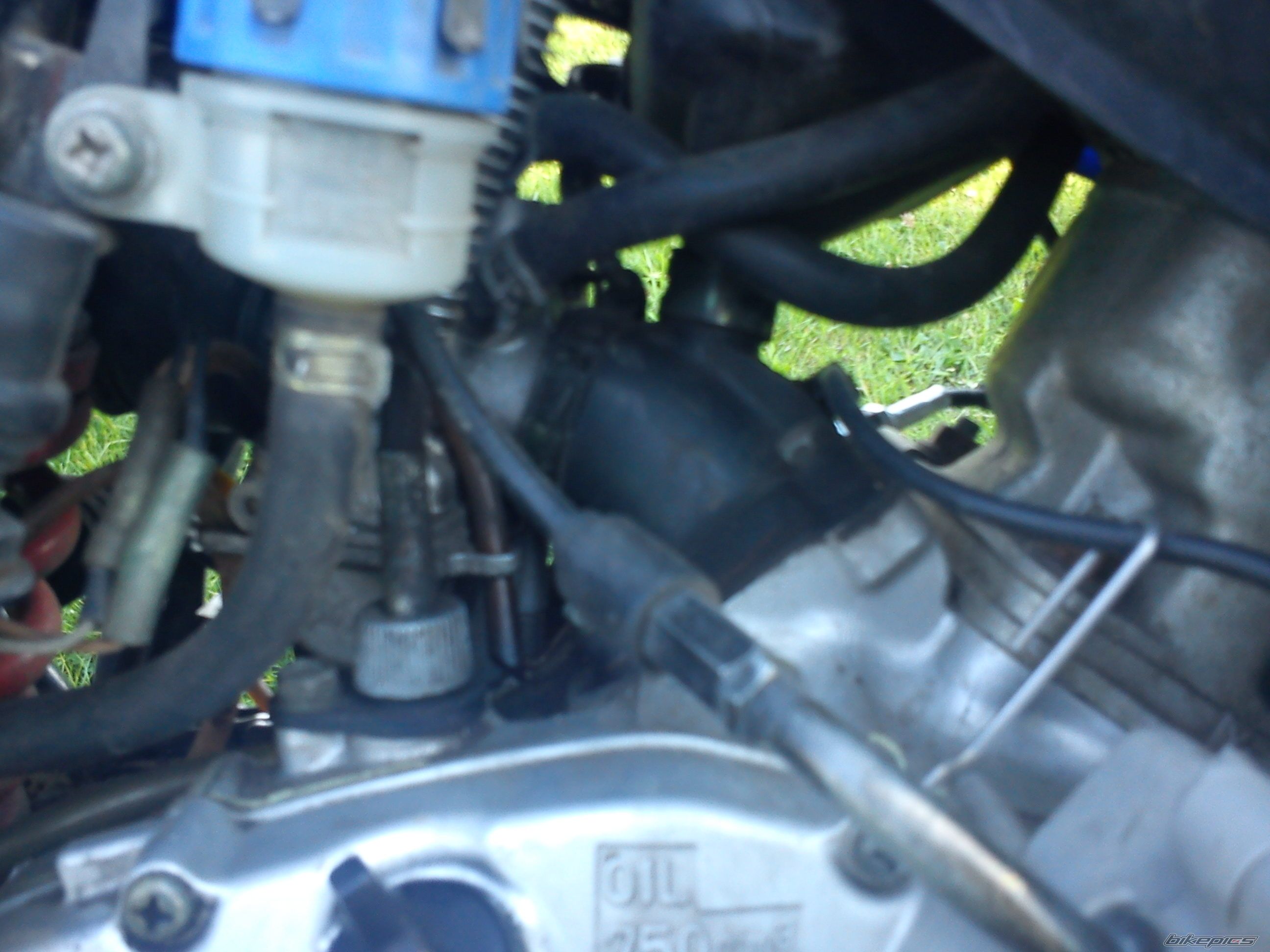 Photo 2417713