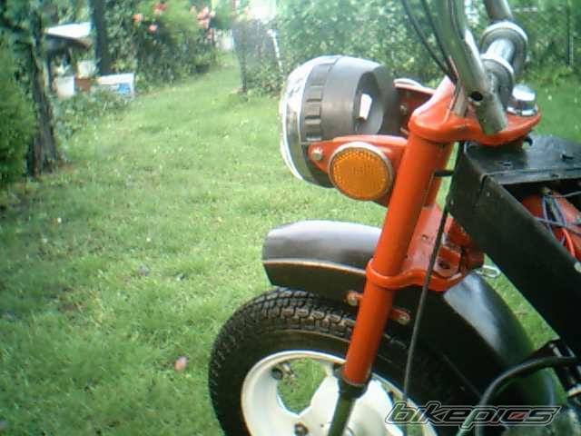 Photo 241773