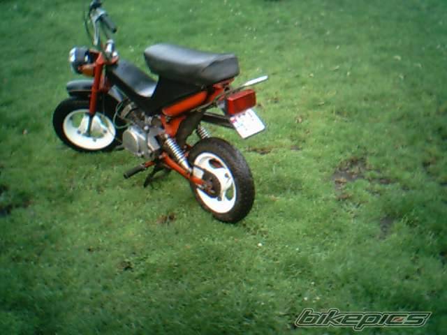 Photo 241774