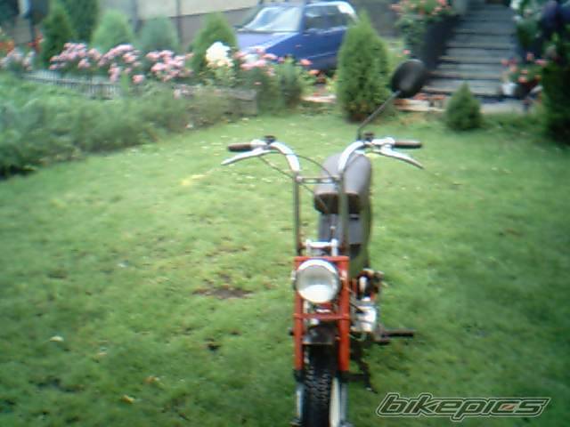 Photo 241775