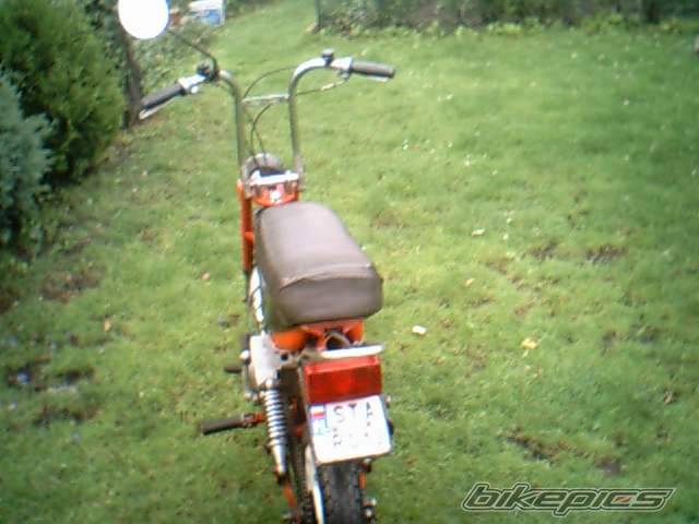 Photo 241776