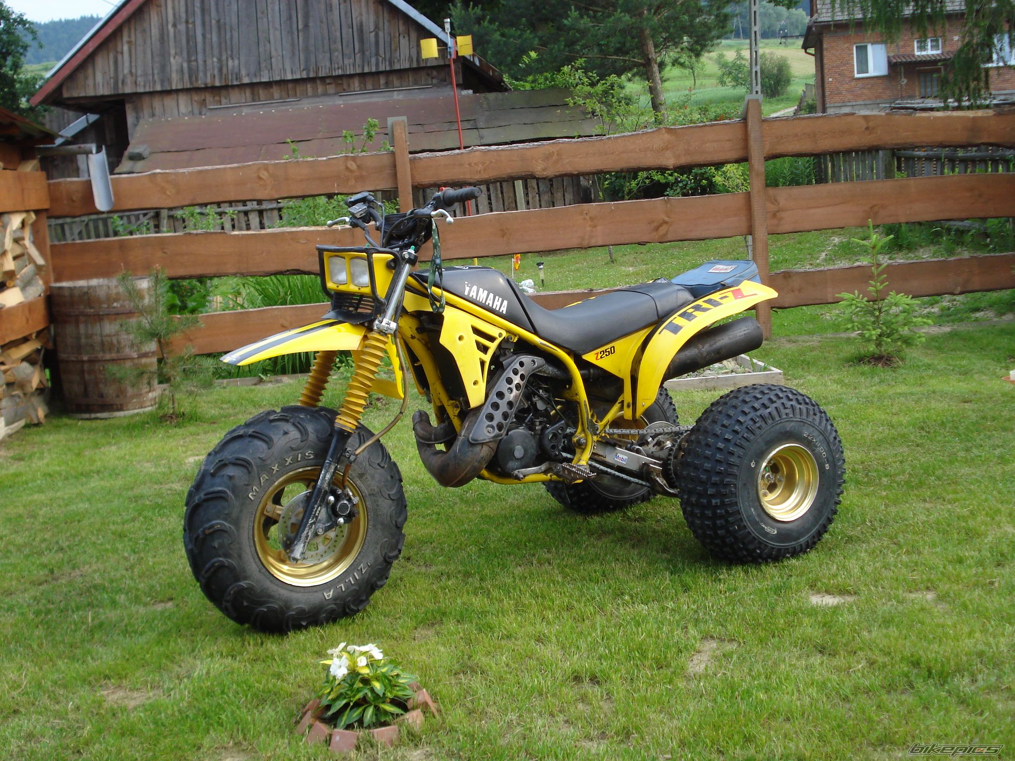 Photo 2417773