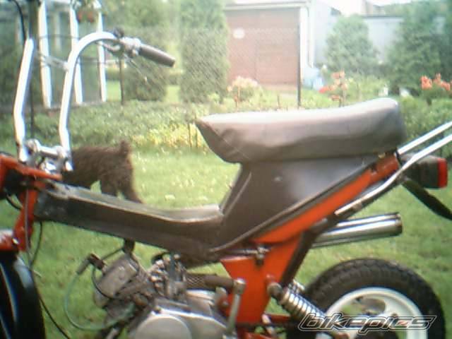 Photo 241778